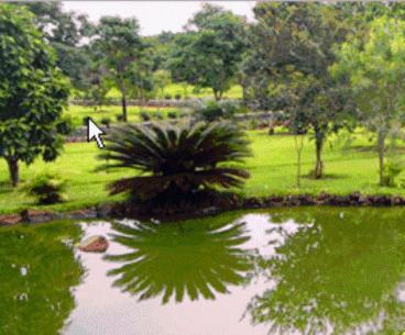 Park Golf Hostel Ipelandia Foz do Iguaçu Eksteriør bilde
